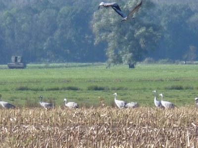 Holiday house Sonnenblume - Environment photo 18