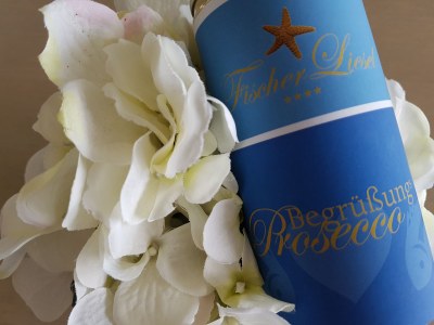 Holiday apartment Amelander Paradijs 8 - Features photo 17