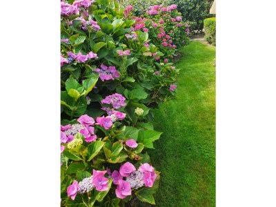 Holiday house Locker - Outdoor photo 7