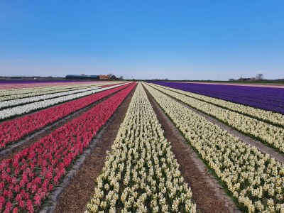 Holiday house Locker - Environment photo 32
