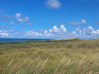 Holiday house Locker - Environment photo 36