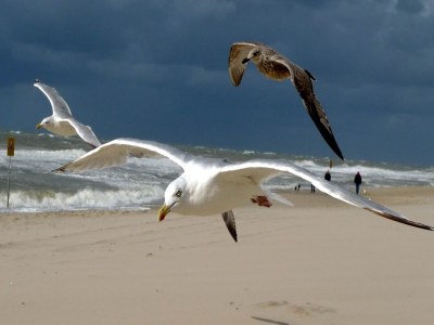 Holiday house Locker - Environment photo 37