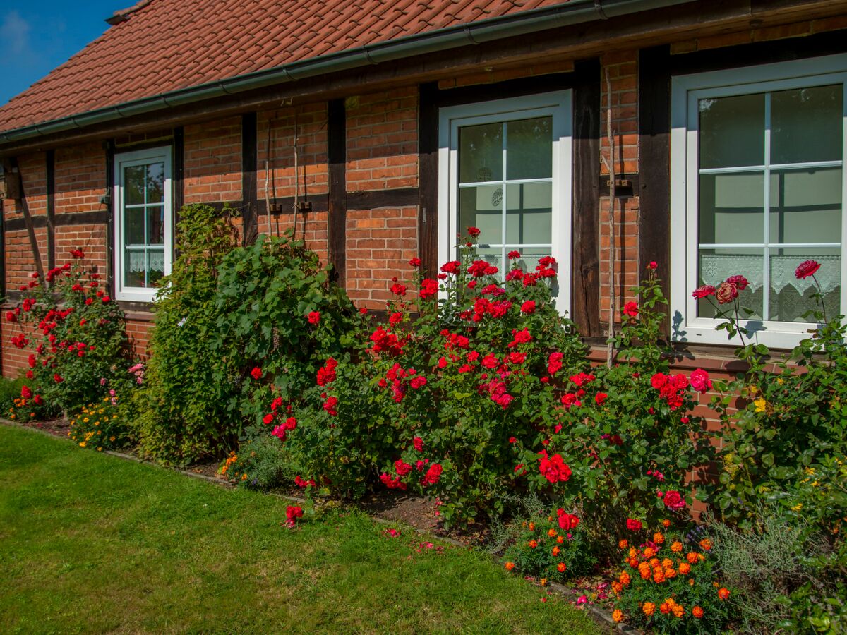 Holiday apartment Steins-Hof - Outdoor photo 4