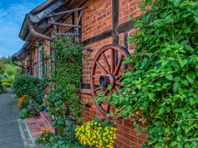 Holiday apartment Steins-Hof - Outdoor photo 3