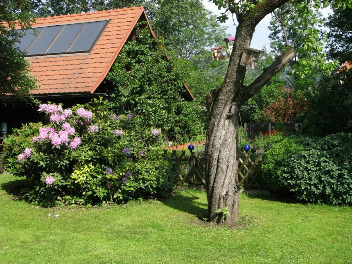 Holiday apartment Penzinger in Deutschlandsberg. - Outdoor photo 2