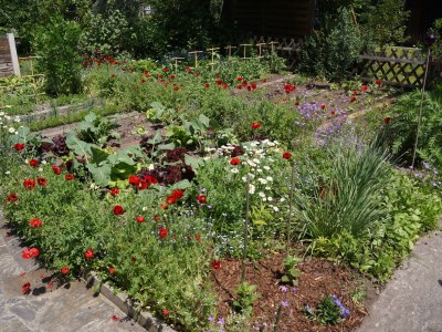 Holiday apartment Penzinger in Deutschlandsberg. - Outdoor photo 4