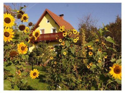 Holiday apartment Penzinger in Deutschlandsberg. - Outdoor photo 8