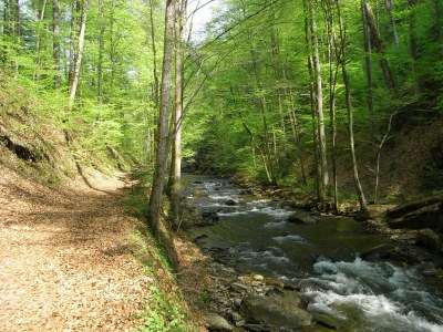 Holiday apartment Penzinger in Deutschlandsberg. - Environment photo 14