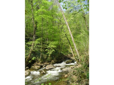 Holiday apartment Penzinger in Deutschlandsberg. - Environment photo 15