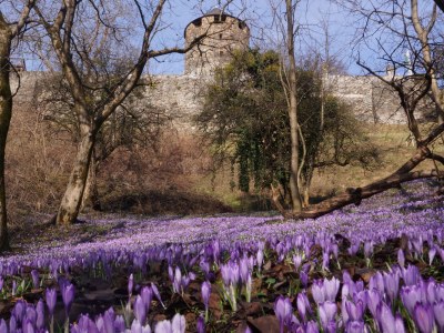 Holiday apartment Penzinger in Deutschlandsberg. - Environment photo 16