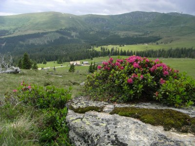 Holiday apartment Penzinger in Deutschlandsberg. - Environment photo 18