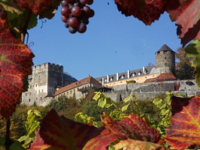 Holiday apartment Penzinger in Deutschlandsberg. - Environment photo 19