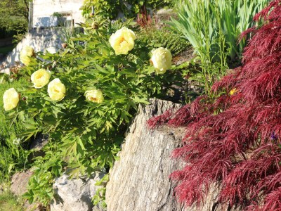 Holiday apartment Blonay Logis de Vacances 2 - Outdoor photo 3