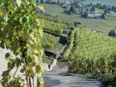 Holiday apartment Blonay Logis de Vacances 2 - Environment photo 11