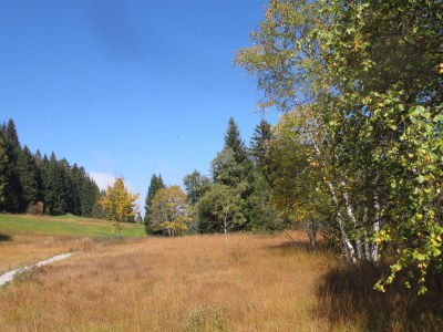 Holiday apartment Blonay Logis de Vacances 2 - Environment photo 14