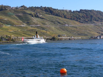 Holiday apartment Blonay Logis de Vacances 2 - Environment photo 16