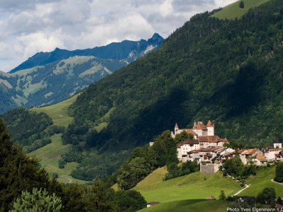 Holiday apartment Blonay Logis de Vacances 2 - Environment photo 17