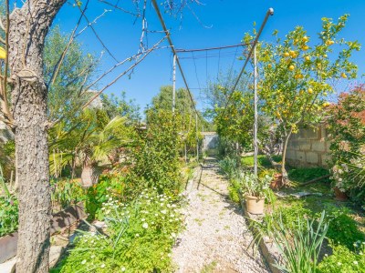 Villa Construcciones Balaguer - Outdoor photo 10