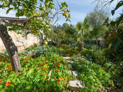 Villa Construcciones Balaguer - Outdoor photo 26