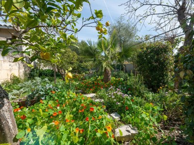 Villa Construcciones Balaguer - Outdoor photo 27