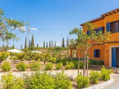 Villa Finca Can Pol - Outdoor photo 12