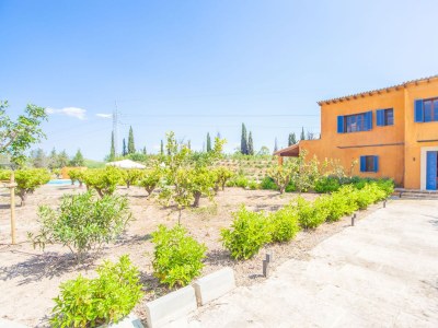 Villa Finca Can Pol - Outdoor photo 14