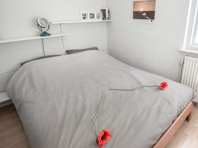 Bungalow De Borch - Features photo 10