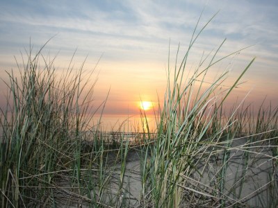 Holiday apartment Gouden Reaal 24 - Environment photo 34