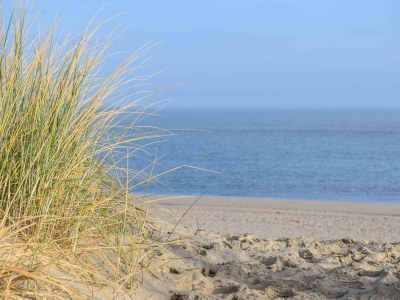 Farmhouse Lodge de Zilverling - Environment photo 24