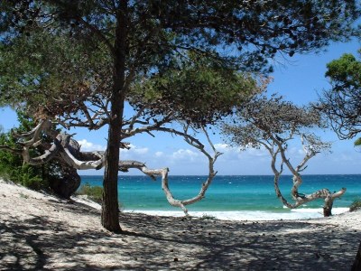 Holiday apartment Restored old mill beside the river - Environment photo 14