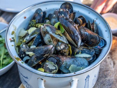 Chalet Riethoek Westerschouwen - Type Partitio-Chalet - Environment photo 21