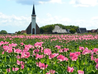 Holiday apartment Mees - Environment photo 32