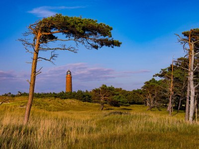 Holiday room 16 - de Lütte - Environment photo 9