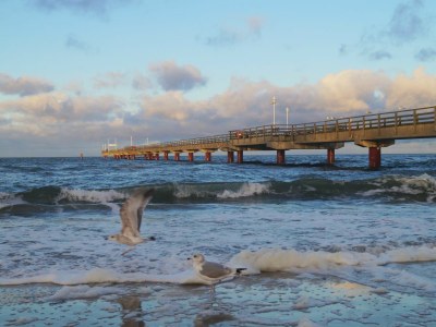 Holiday room 16 - de Lütte - Environment photo 10