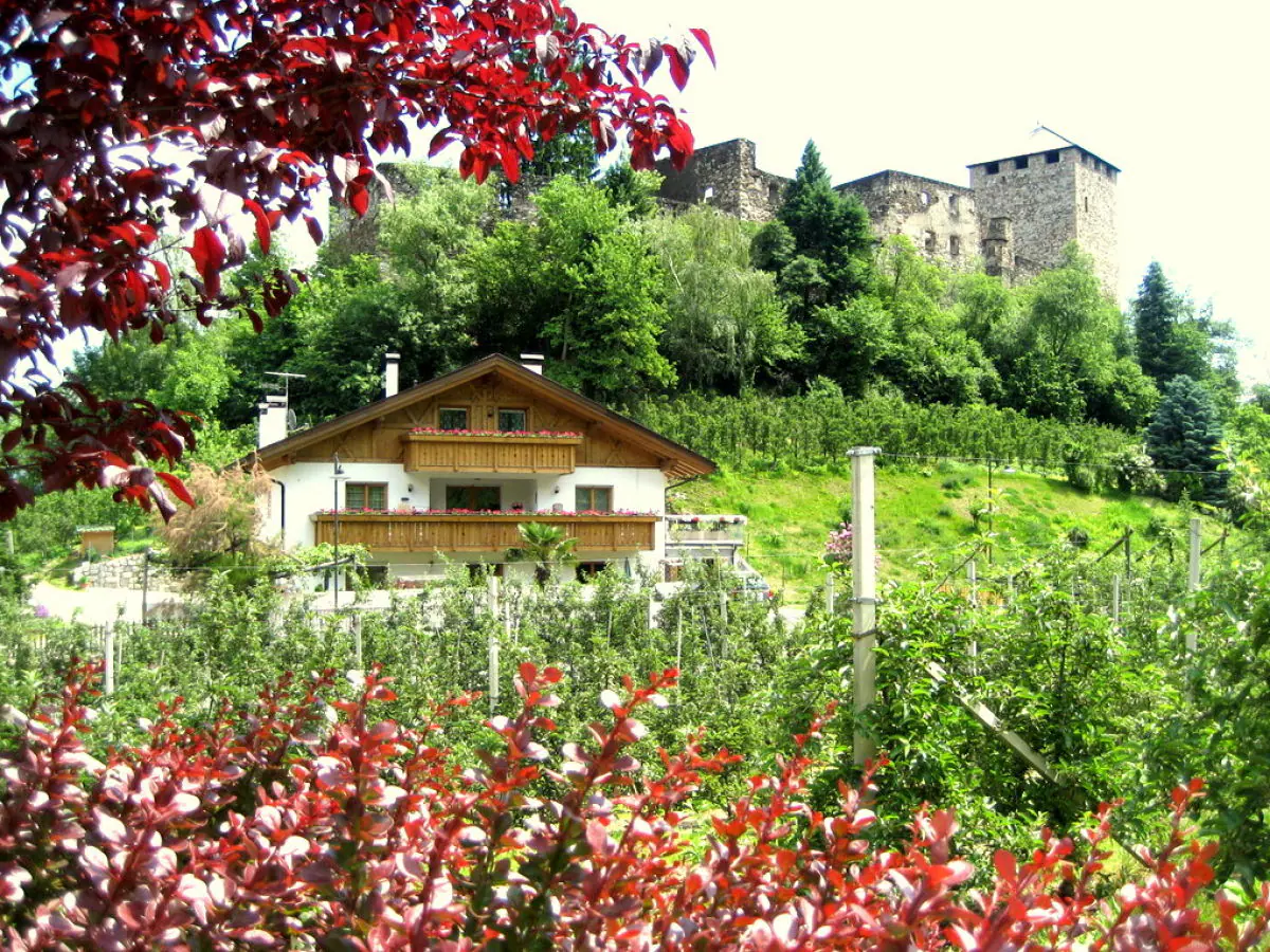 Holiday apartment Farm Turmwirt - Pink Leidy - Outdoor photo 2