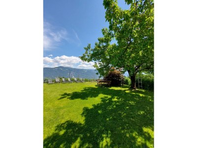 Holiday apartment Farm Turmwirt - Pink Leidy - Outdoor photo 15