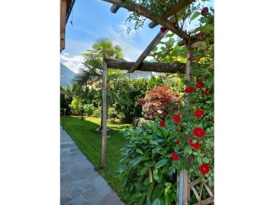 Holiday apartment Farm Turmwirt - Pink Leidy - Outdoor photo 17