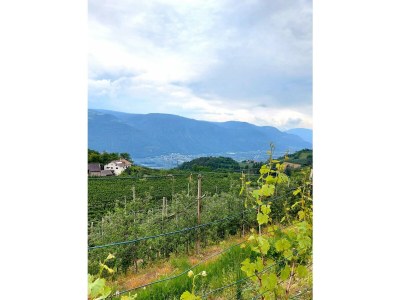 Holiday apartment Farm Turmwirt - Pink Leidy - Outdoor photo 18