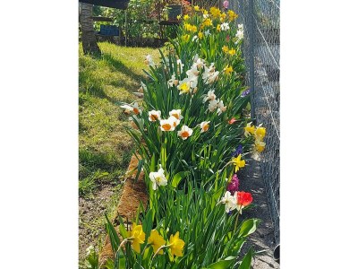 Holiday apartment Farm Turmwirt - Pink Leidy - Outdoor photo 21