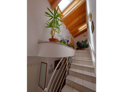 Holiday apartment Farm Turmwirt - Pink Leidy - Features photo 26