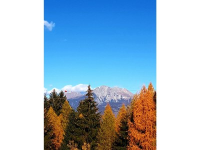 Holiday apartment Farm Turmwirt - Pink Leidy - Environment photo 40