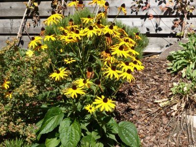 Apartment "Ansciuda" - Outdoor photo 10