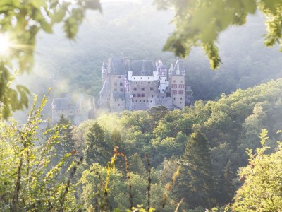 Holiday house Apple Tree - Features photo 48