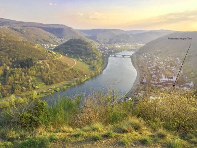 Holiday house Apple Tree - Features photo 49