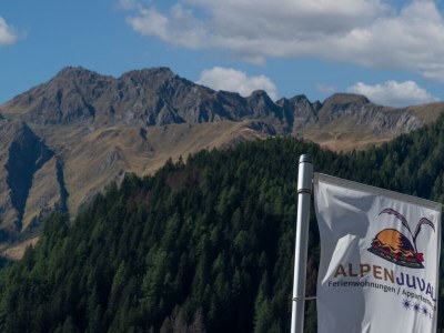 Holiday apartment At Haus Alpenjuval - Document photo 44