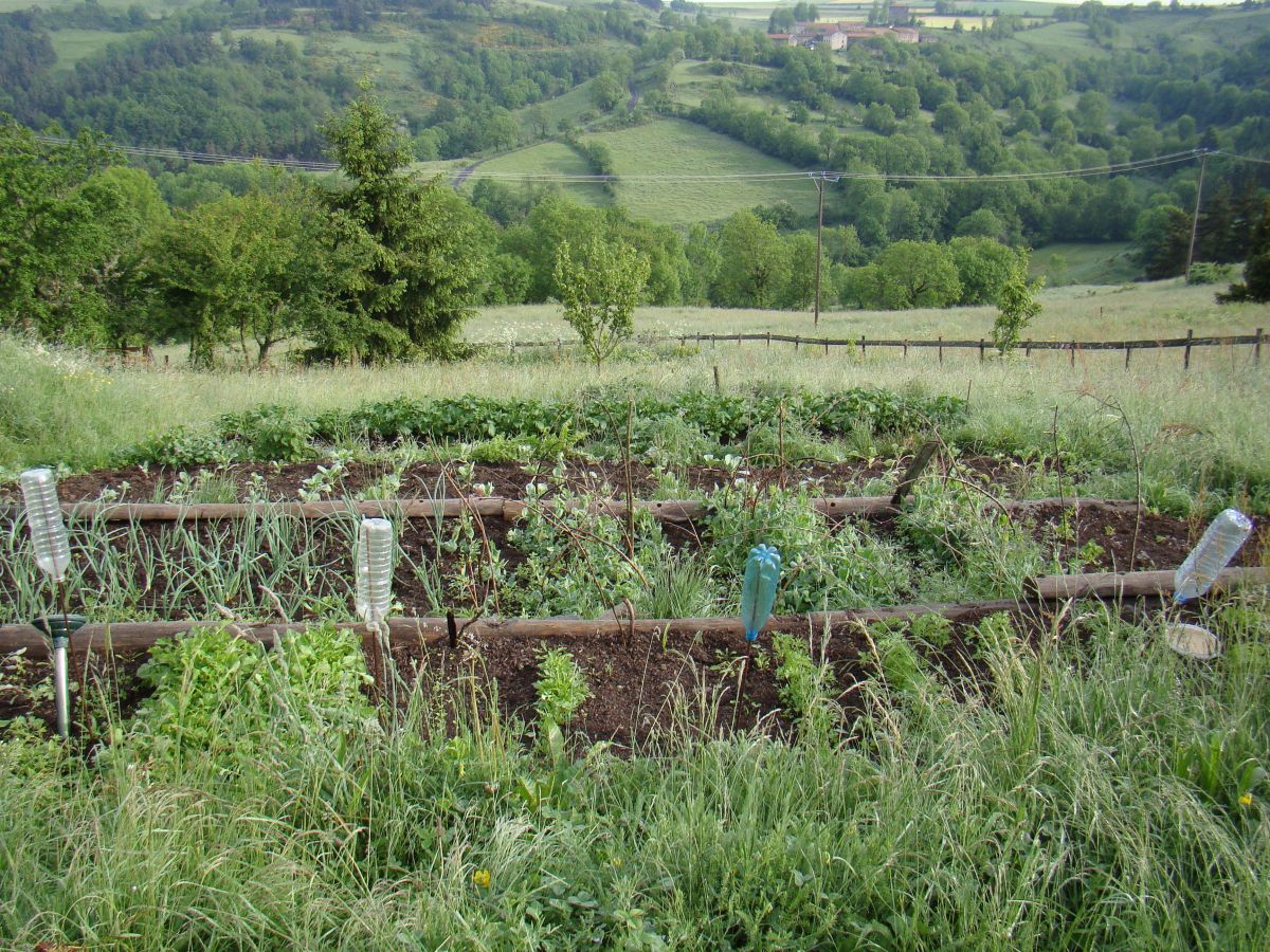 Farmhouse Domaine des Sureaux - Outdoor photo 4