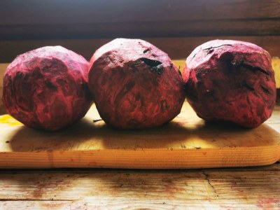 Farmhouse Domaine des Sureaux - Outdoor photo 6