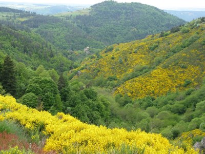 Farmhouse Domaine des Sureaux - Environment photo 22