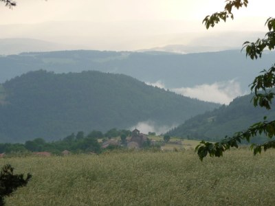 Farmhouse Domaine des Sureaux - Environment photo 23