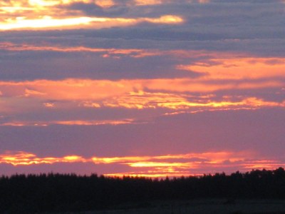 Farmhouse Domaine des Sureaux - Environment photo 26